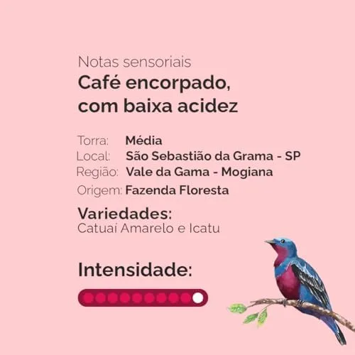 Café Especial Intenso Torrado em grãos - pacote de 1Kg