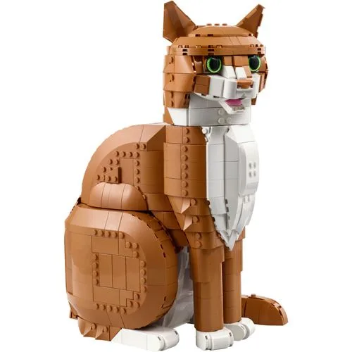 Ideas - Gato Laranja