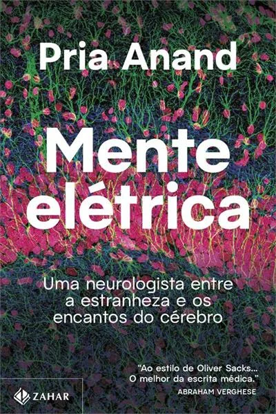 título : Mente elétrica: uma neurologista entre a estranheza e os encantos do cérebro