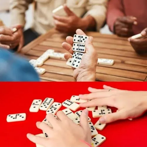 Jogo de Dominó Profissional de Osso com 28 Peças – Luxo, Tradicional e Resistente, Acompanha Estojo (Preto)