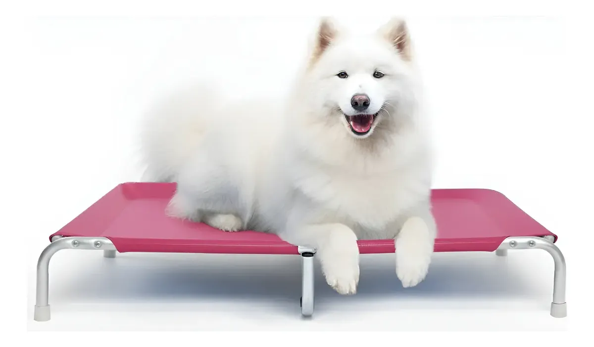 Cama Suspensa Elevada Pet Cães 105x70cm Tamanho Gg Até 70kg