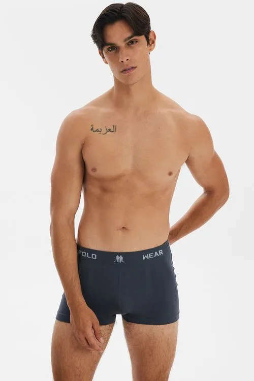 Kit 3 Cuecas Boxer Polo Wear Cinza Médio