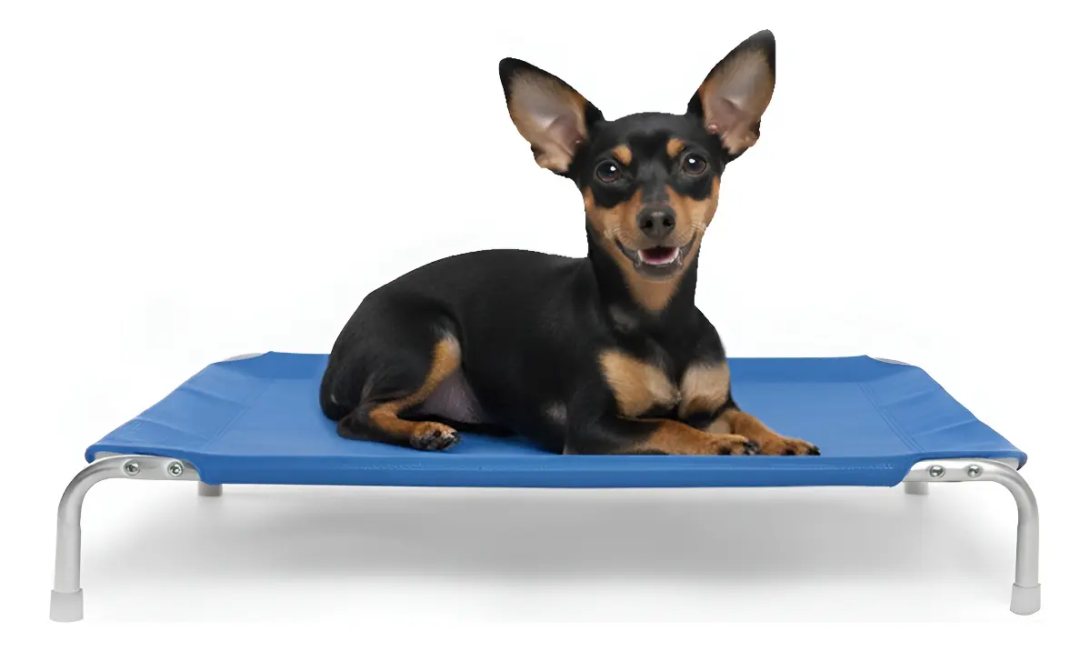 Cama Suspensa Elevada Pet Cachorro 60x40cm Tamanho P Dogets
