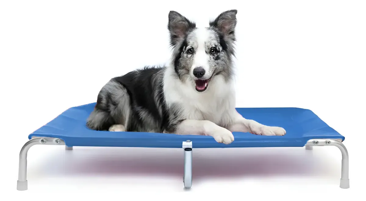 Cama Suspensa Elevada Pet Cachorro 90x60cm Tamanho G Dogets