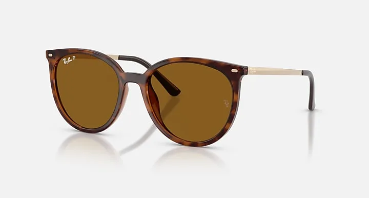 Ray-Ban RB4464 Havana-escuro|Dark Havana with Marrom-escuro polarizado|Dark Brown Polarized Cor uniforme|Solid Color lens