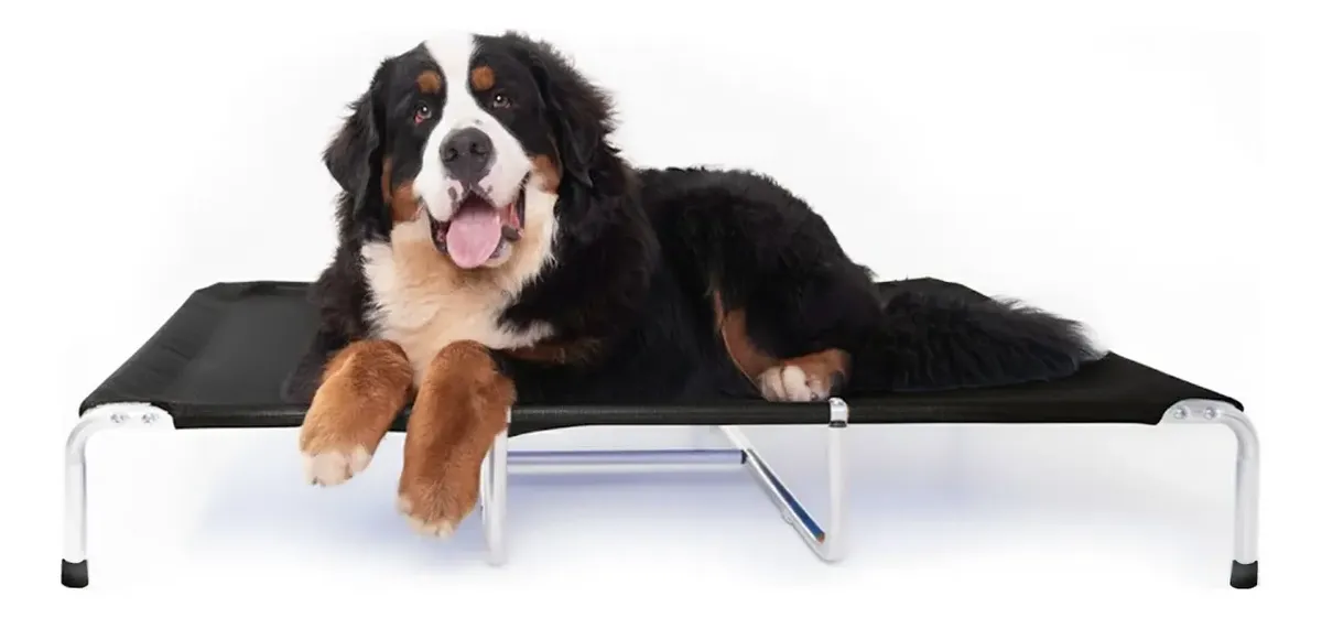 Cama Suspensa Elevada Pet Cães 120x90cm Tamanho Xl Até 90kg