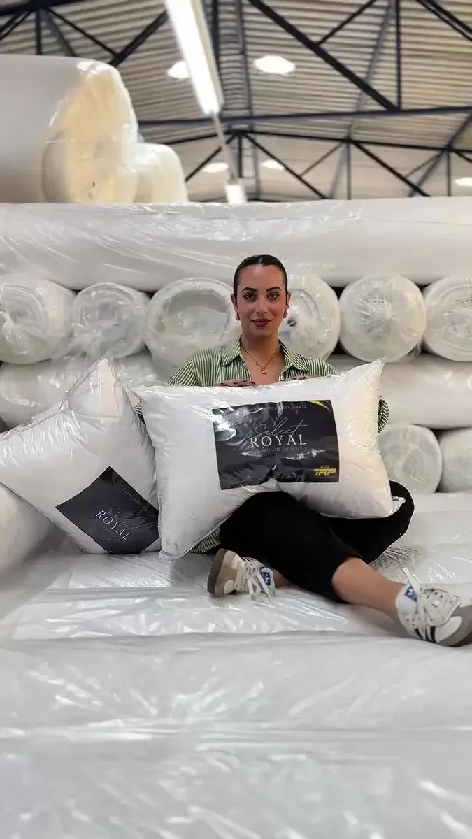 Kit 2 Travesseiros Select Royal Toque De Plumas Linha Hotel Cor Branco