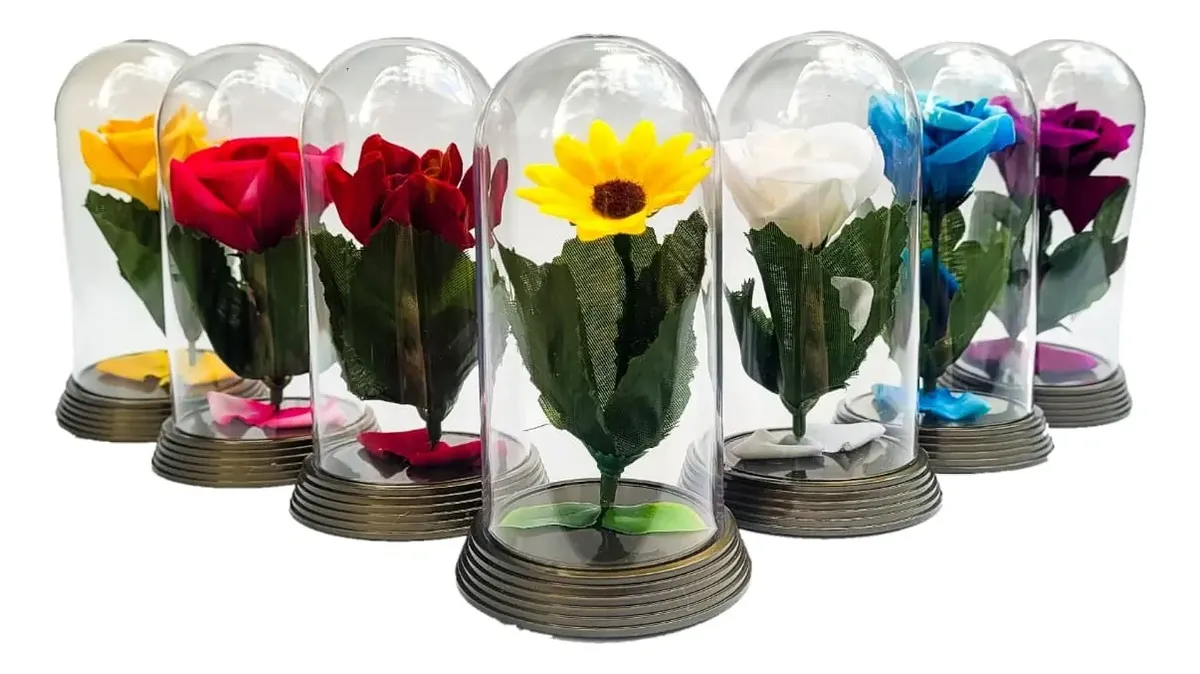 50 Cúpulas Rosa O Pequeno Príncipe A Bela E A Fera P 11 Cm