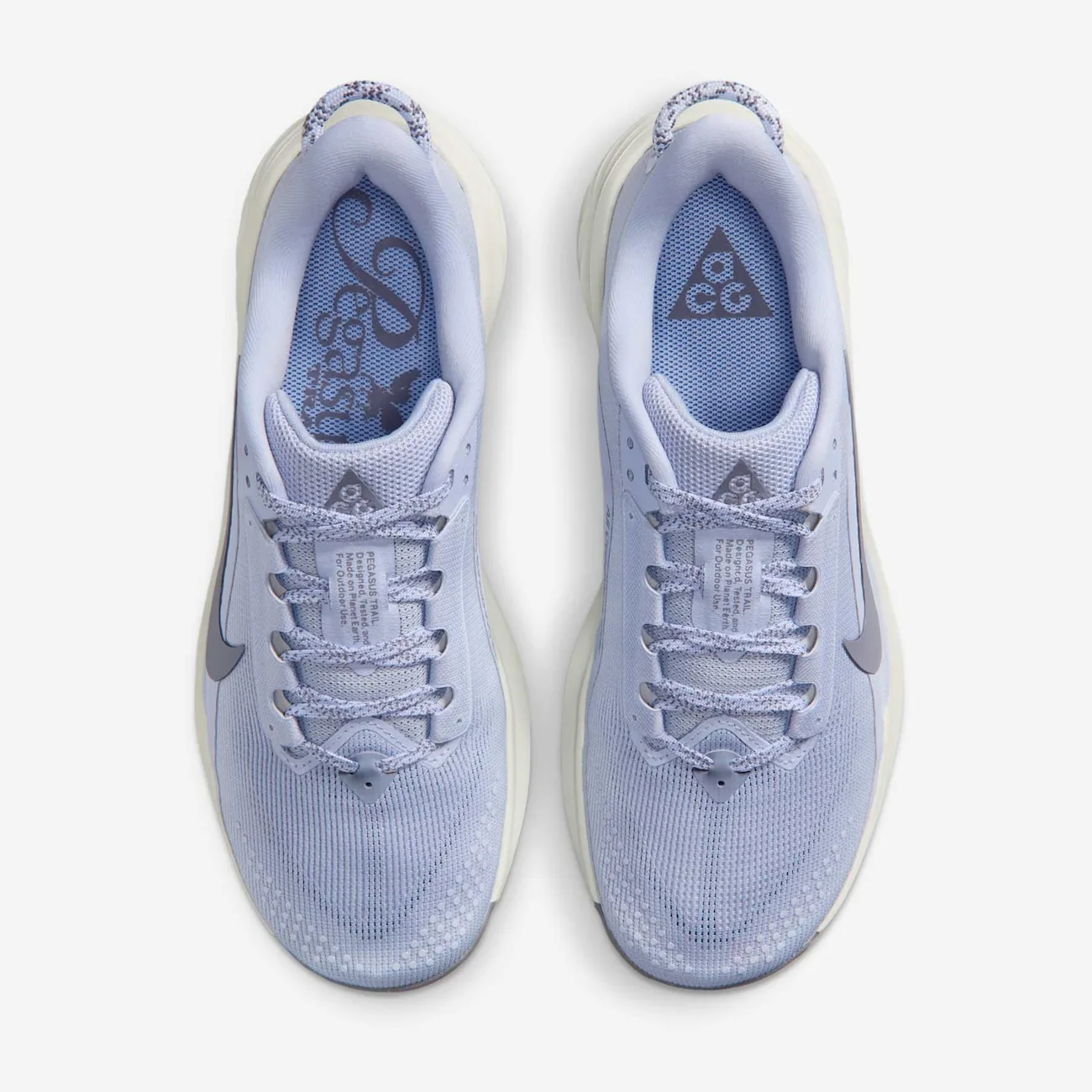 Nike ACG Pegasus Trail