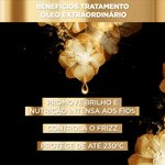 Óleo Extraordinário Elseve L'Oréal Paris Tratamento Reconstrutor Capilar 100ml