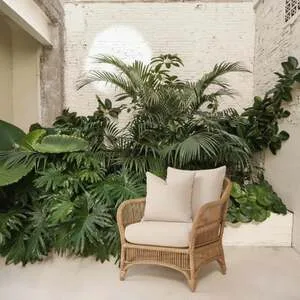 Poltrona Core Rattan Bahali 78x77x65cm