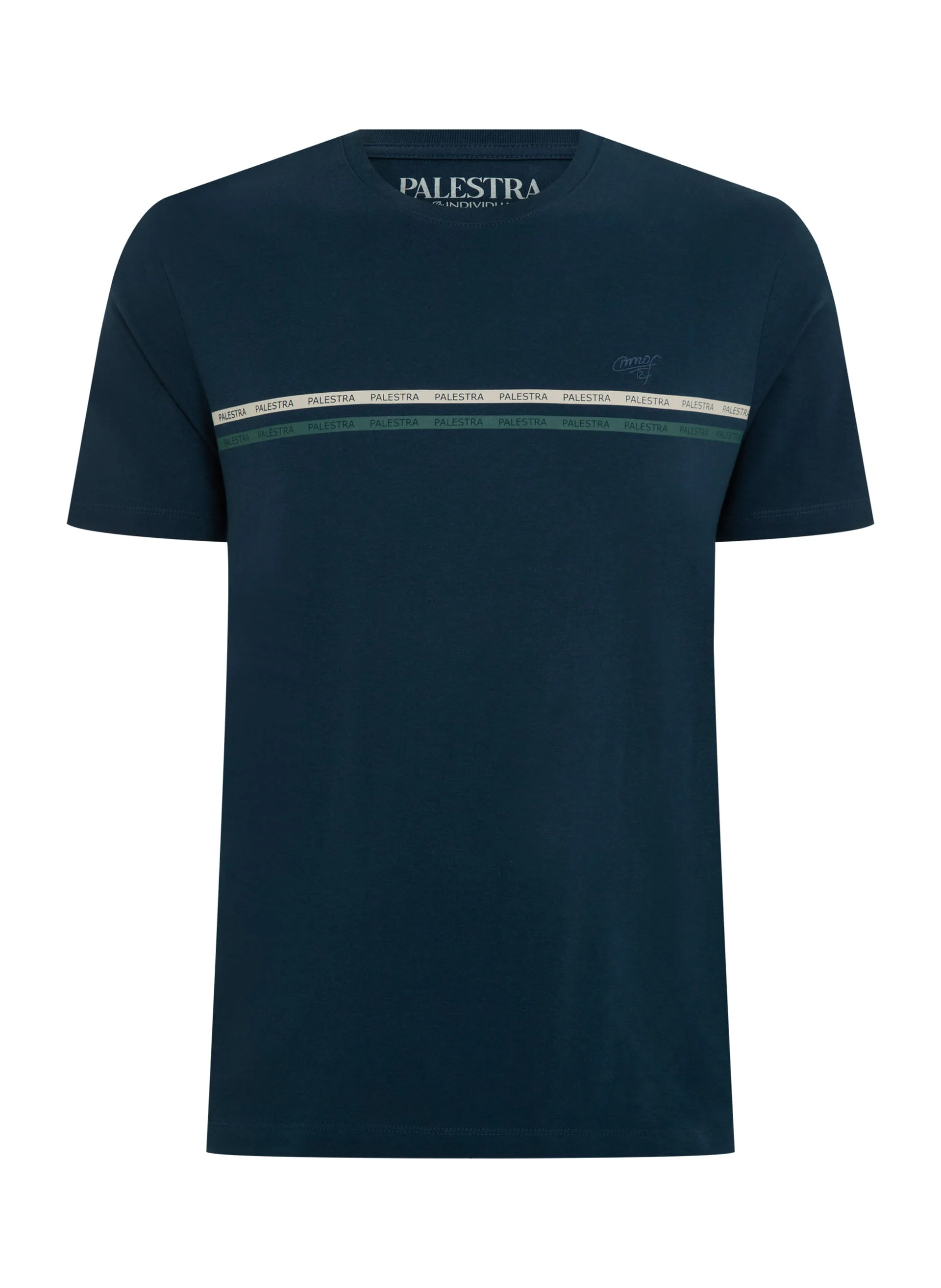Camiseta Regular Fit Estampa Frontal Masculina Individual