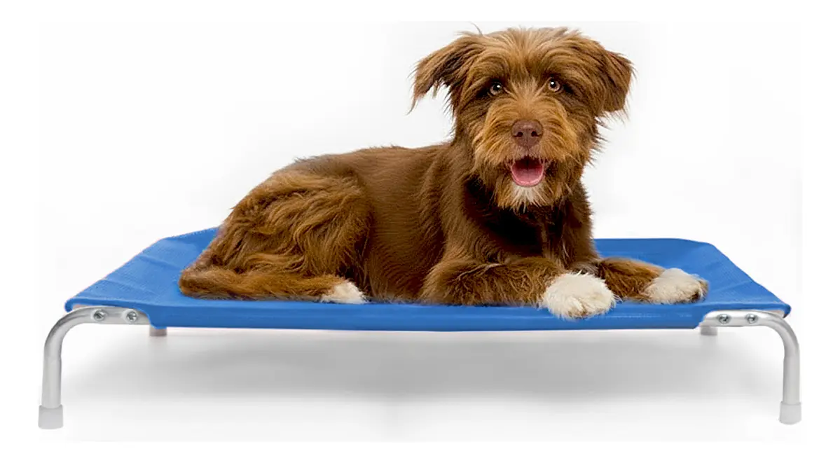 Cama Suspensa Elevada Pet Cachorro 75x50cm Tamanho M Dogets