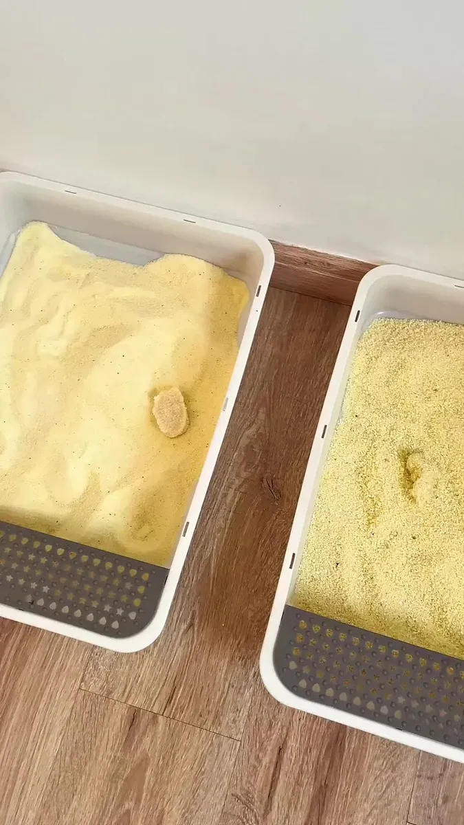 Areia Higiênica Para Gatos Feita de Mandioca e Milho Biodegradável Alta Absorção Baixo Odor 4kg - GoodVision