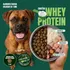 Ração Whey Protein Grannature Xtreme Alta Performance 30% Proteína para Cães Adultos raças Médio E Grande Porte, Alimento Seco Sabor Frango Super Premium Com Bcaa Sem Corantes Saúde Articular 15kg