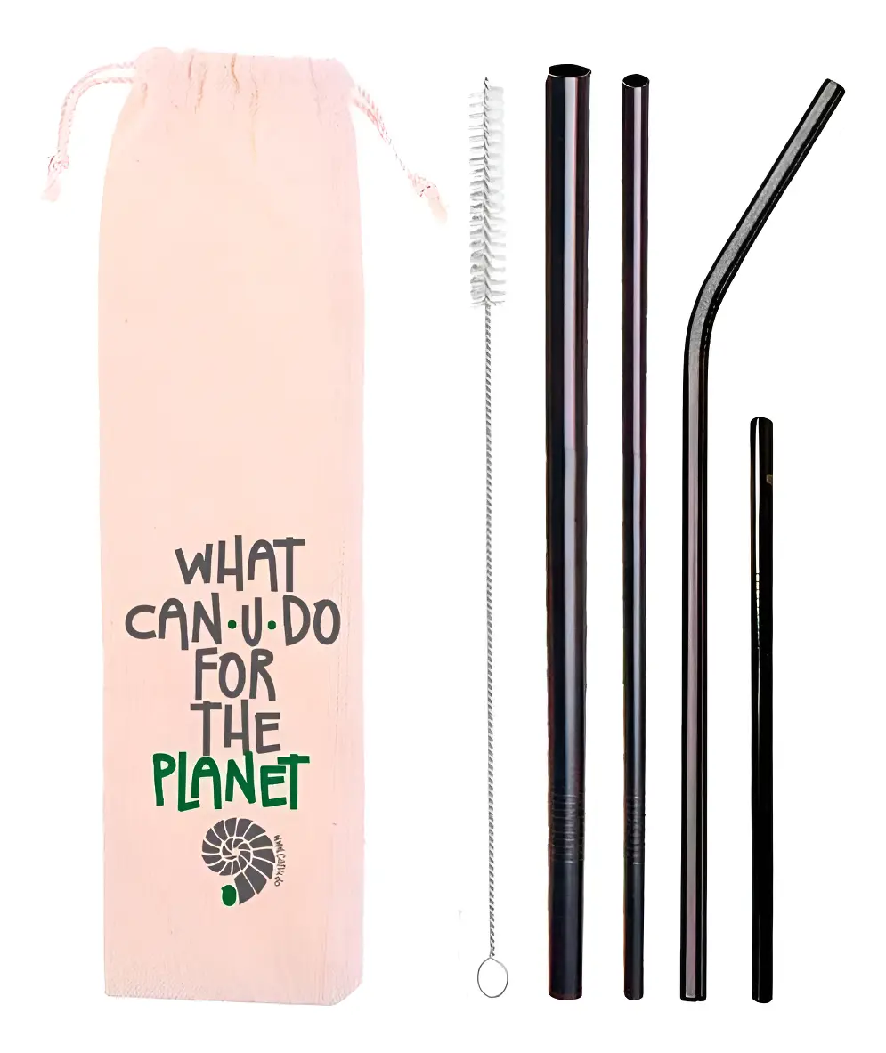 Kit 6 Em 1 - 4 Canudos Inox Colorido + Escova + Ecobag