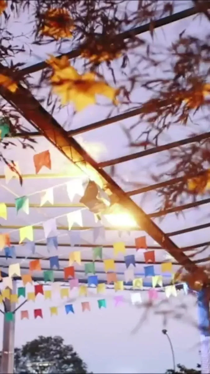 200 Metros Bandeirinhas Festa Junina Arraiá São João Bandeirolas Coloridas Para Decoração Interna Enfeite De Festa Junina E Arraiá Completo