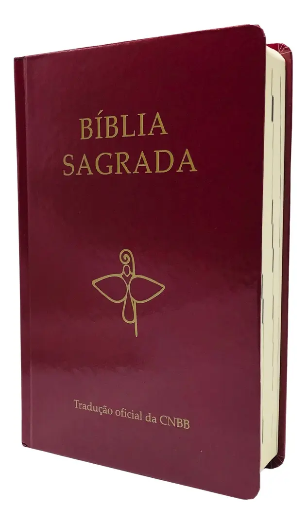 Bíblia Sagrada Católica Tradução Cnbb Média Capa Dura