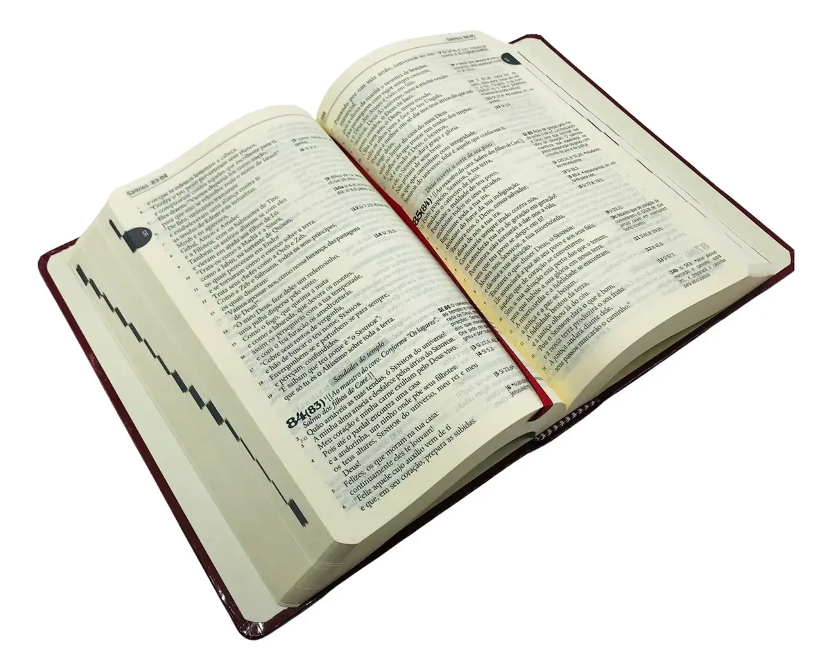 Bíblia Sagrada Católica Tradução Cnbb Média Capa Dura