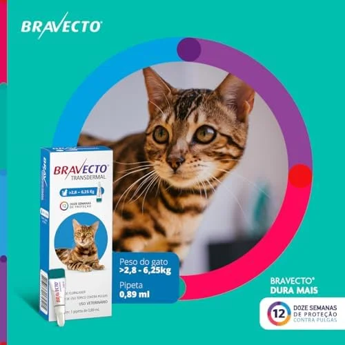 Bravecto® Gatos Transdermal 250mg - Antipulgas - Gatos de 2,8 a 6,25kg - 1 Pipeta 0,89ml - MSD Saúde Animal